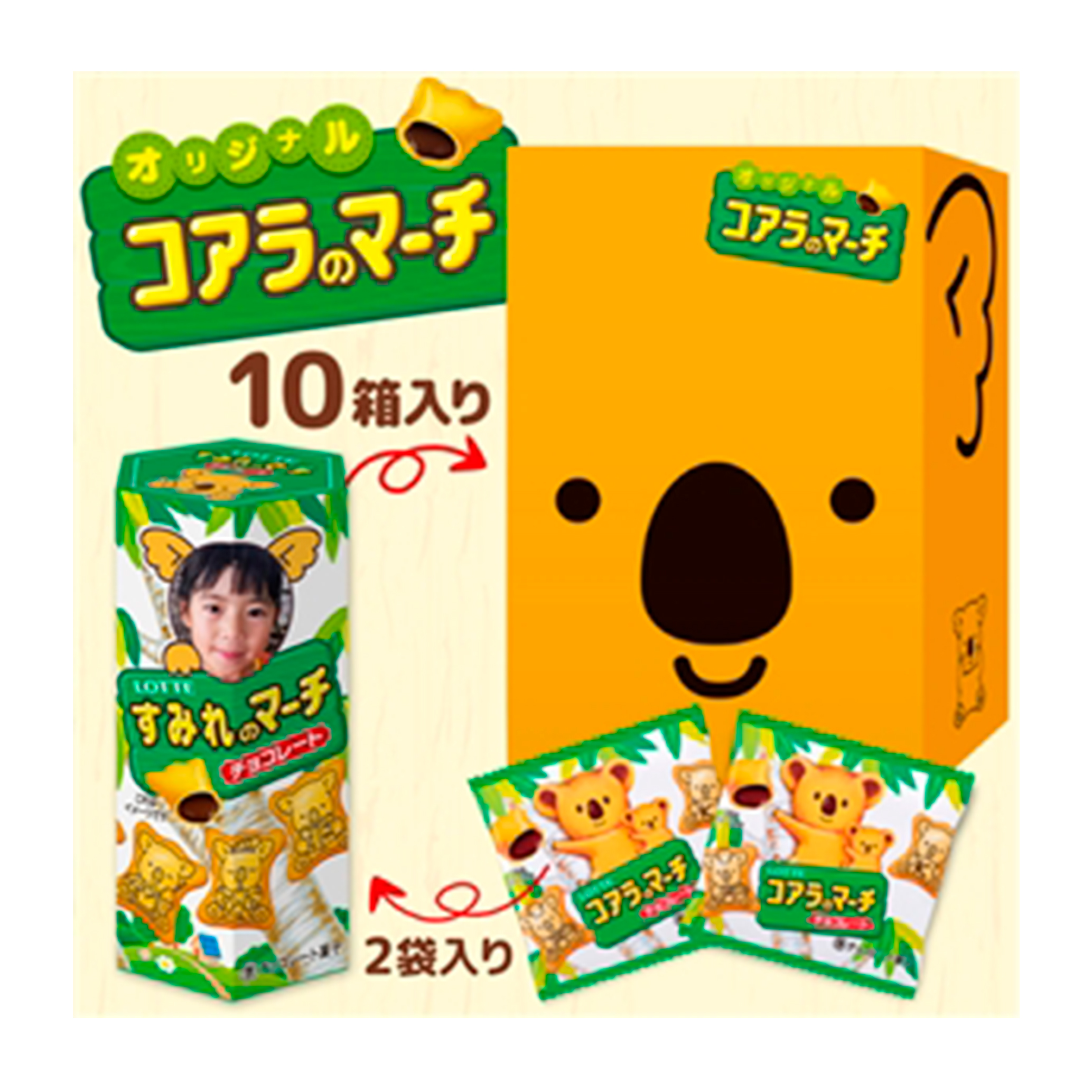 オリジナルコアラのマーチの作り方と値段・納期を徹底解説【2026】