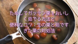 【噂】 ためして ガッテン 栗 の 茹で 方 最新ファイル＆画像まとめ #946