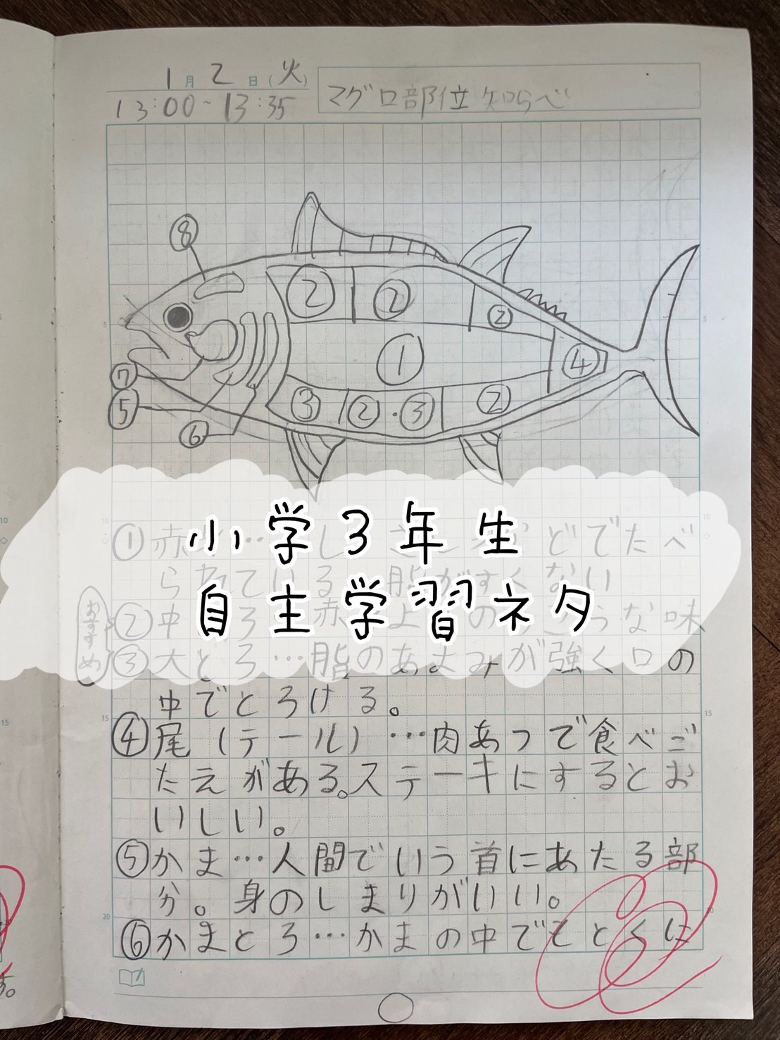自主勉強ネタ決定版！すぐ終わる面白いテーマと学年別具体例