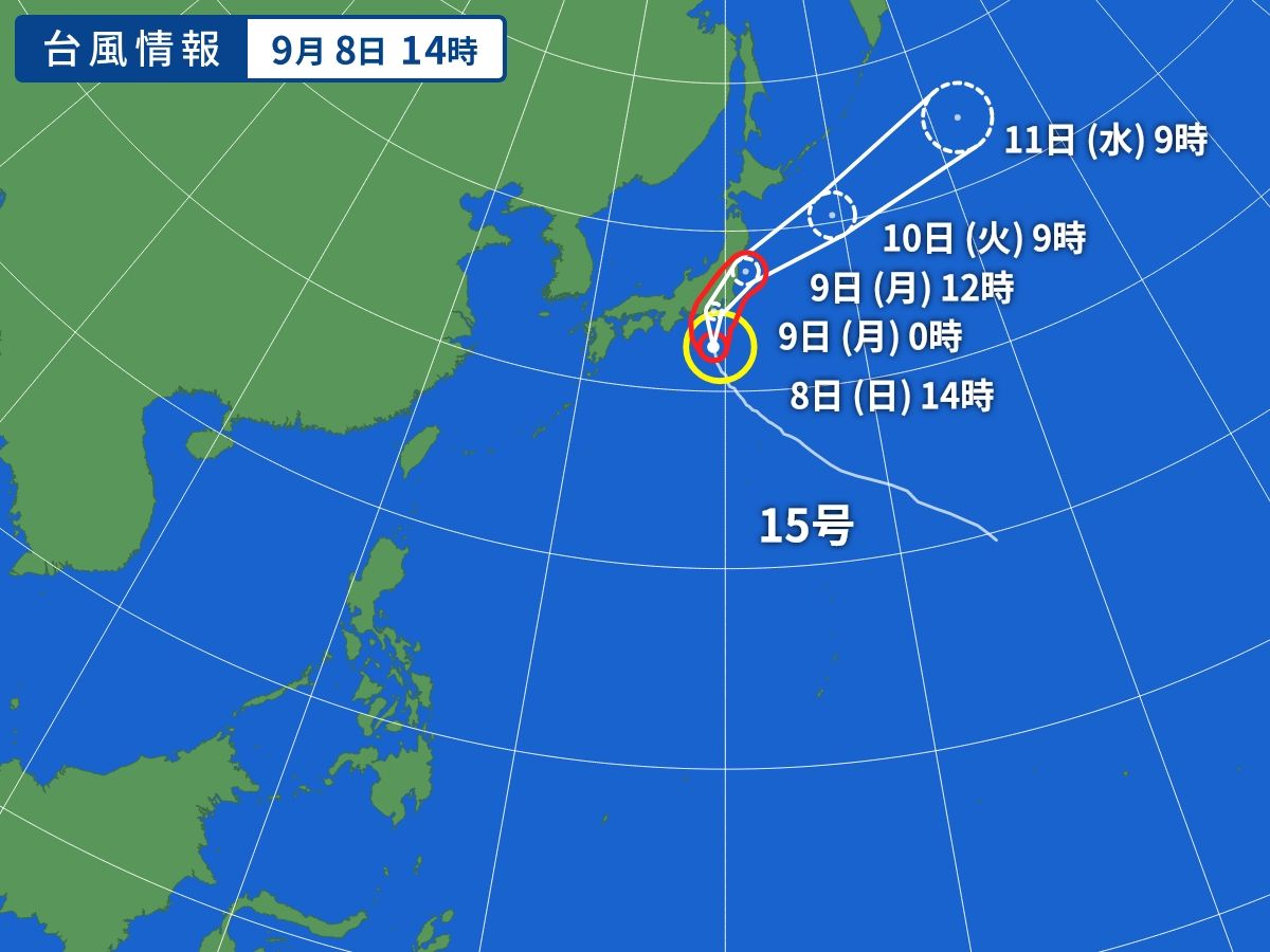 台風で飛行機が欠航する基準と返金・振替手順！ホテル補償の真実