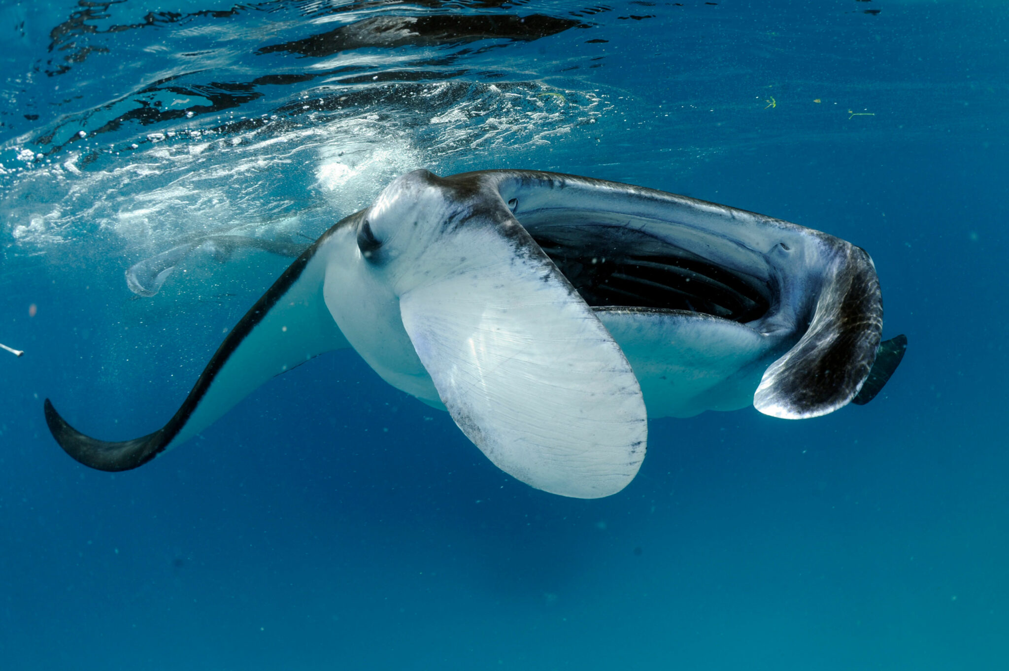 アパホテル東京ベイ幕張の口コミ真相と失敗しない滞在完全ガイド