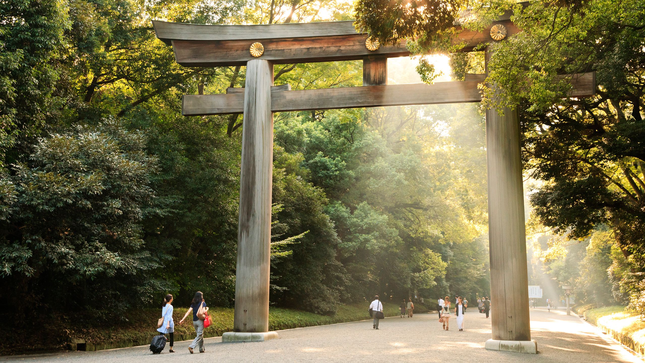 世界が注目する代々木公園の今｜2026年最新の歩き方と混雑回避術