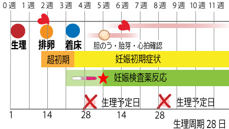 【速報】 妊娠 心拍 確認 いつ 2026年最新メディア #932