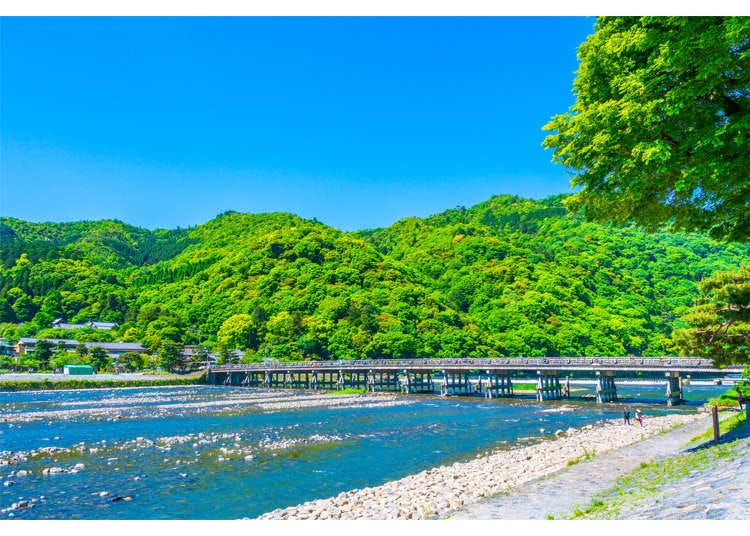 嵯峨美術大学の評判と実態｜偏差値・学費から就職力まで徹底検証