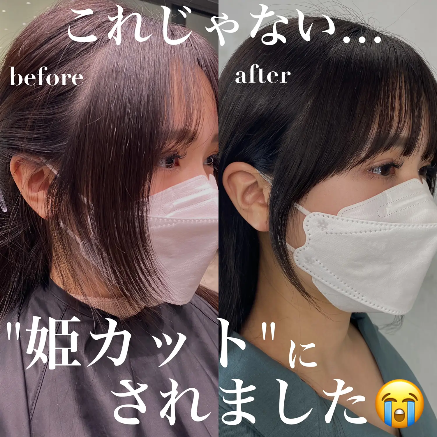 カットトマトとホールトマトの違いとは？料理が劇変するプロの使い分け術