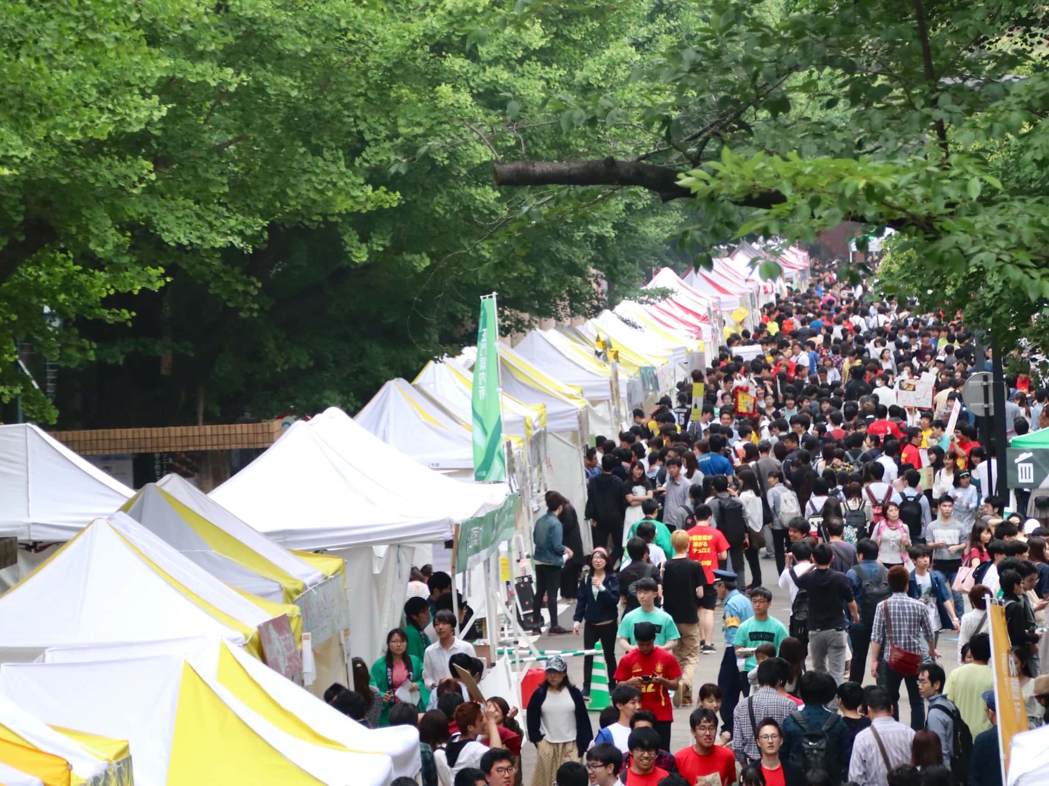 東大五月祭2026の全貌！事前予約の有無や混雑回避術・見どころ総まとめ