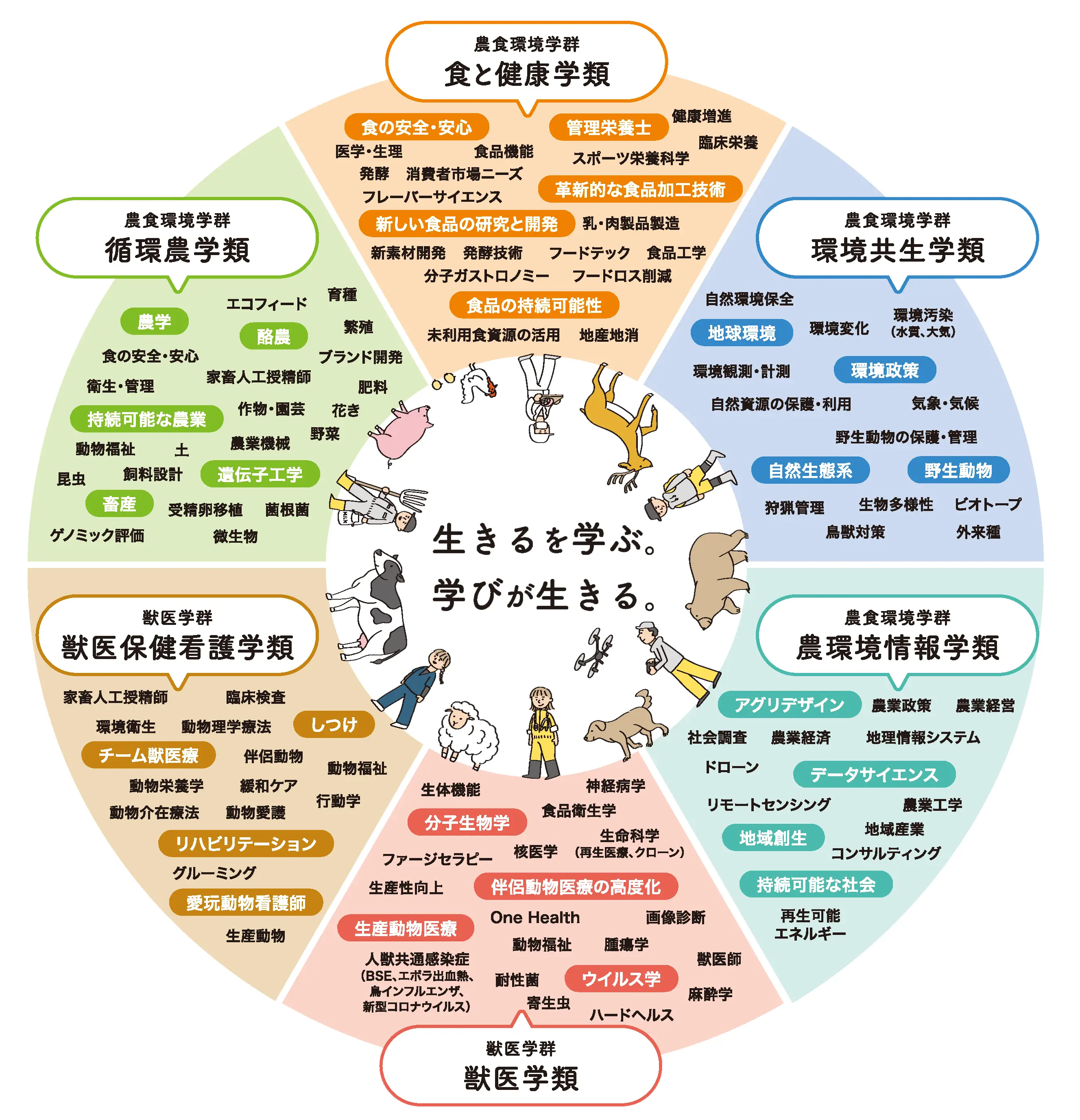 酪農学園大学の評判はやばい？偏差値や獣医学群の実力・学費を徹底解剖