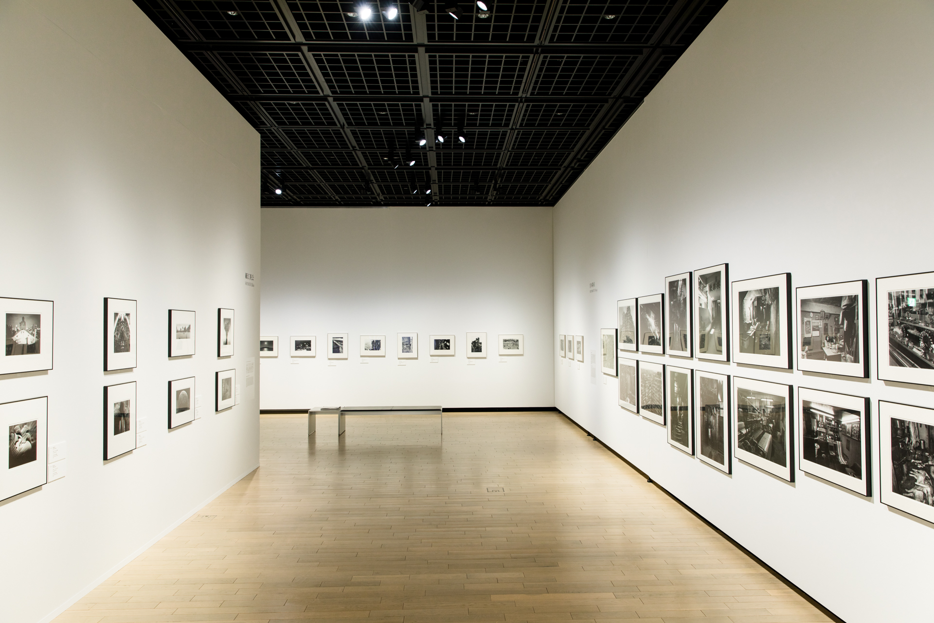 東京都写真美術館の魅力を徹底解剖｜2026年最新展覧会と混雑回避法