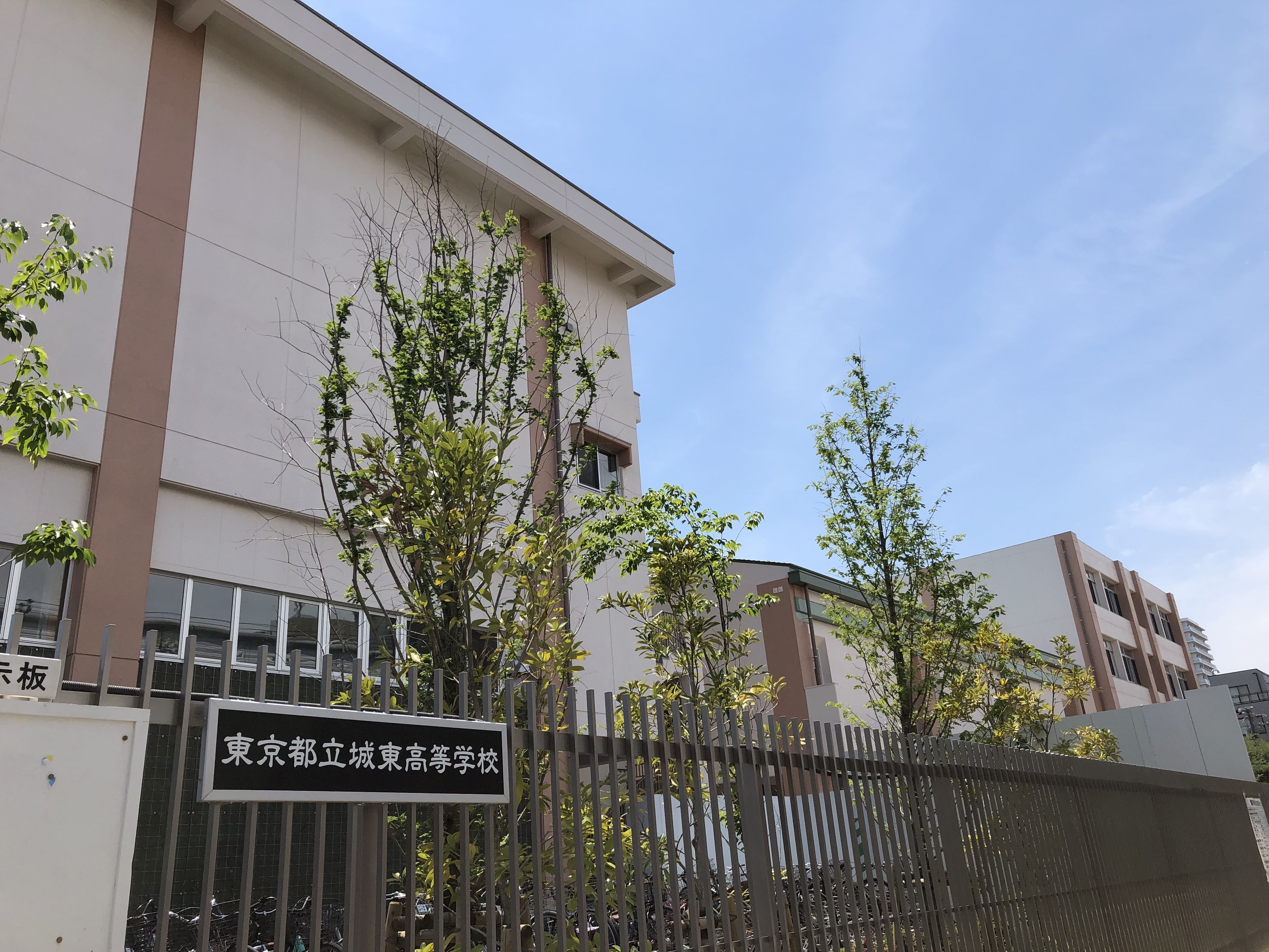城東高校の偏差値と合格ライン2026！文武両道の真実とボーダー