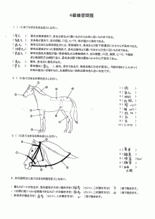 【2026最新】 乗馬 ライセンス 4 級 最新ファイル＆画像まとめ #693