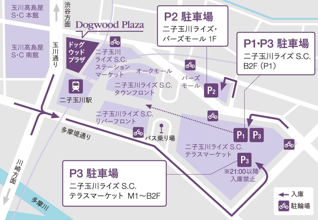 二子玉川ドッグウッドプラザ徹底検証｜人気ランチとライズとの違い