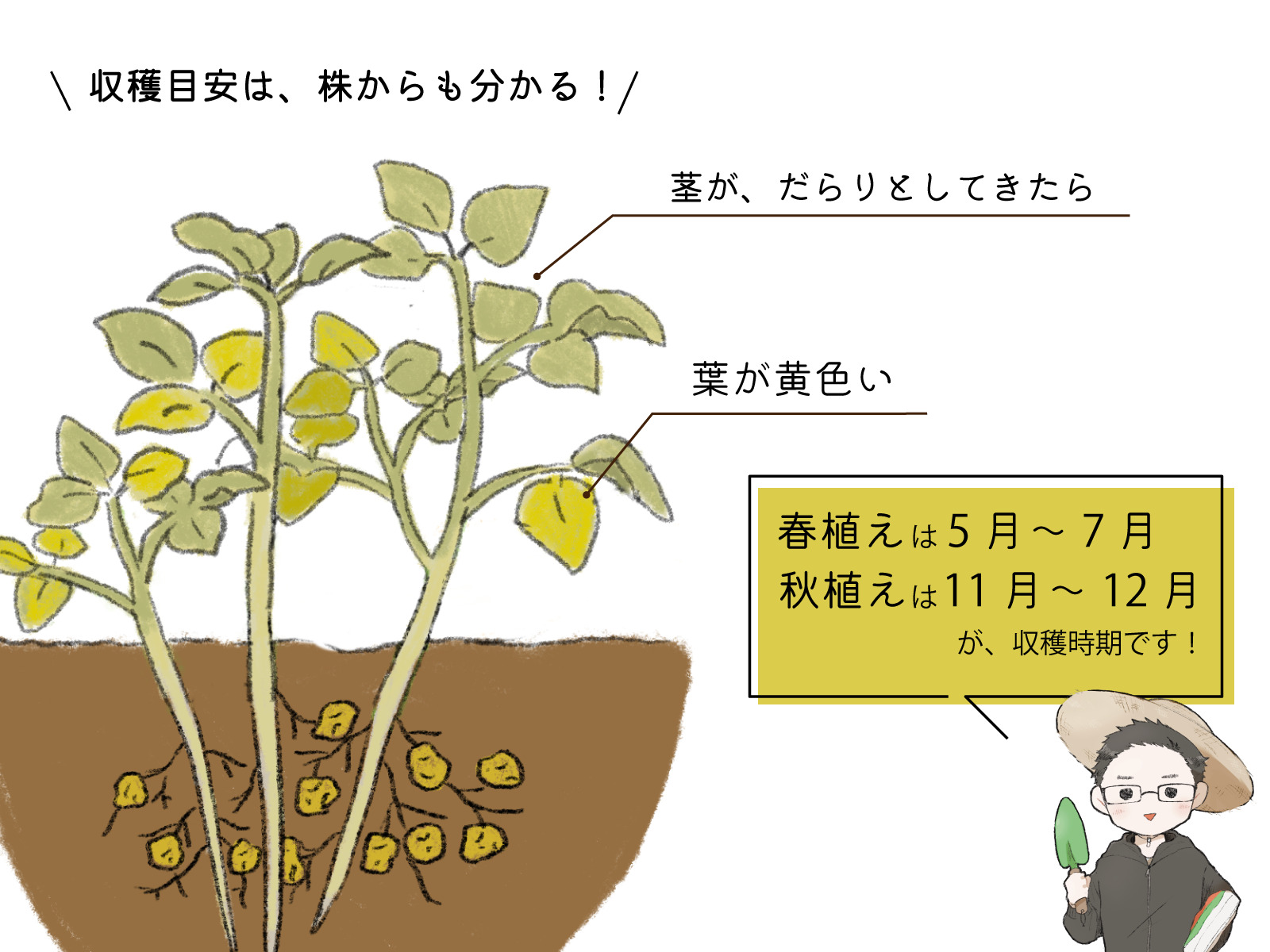 美智子さまと雅子さまの本当の仲｜不仲説の真相と受け継がれる絆