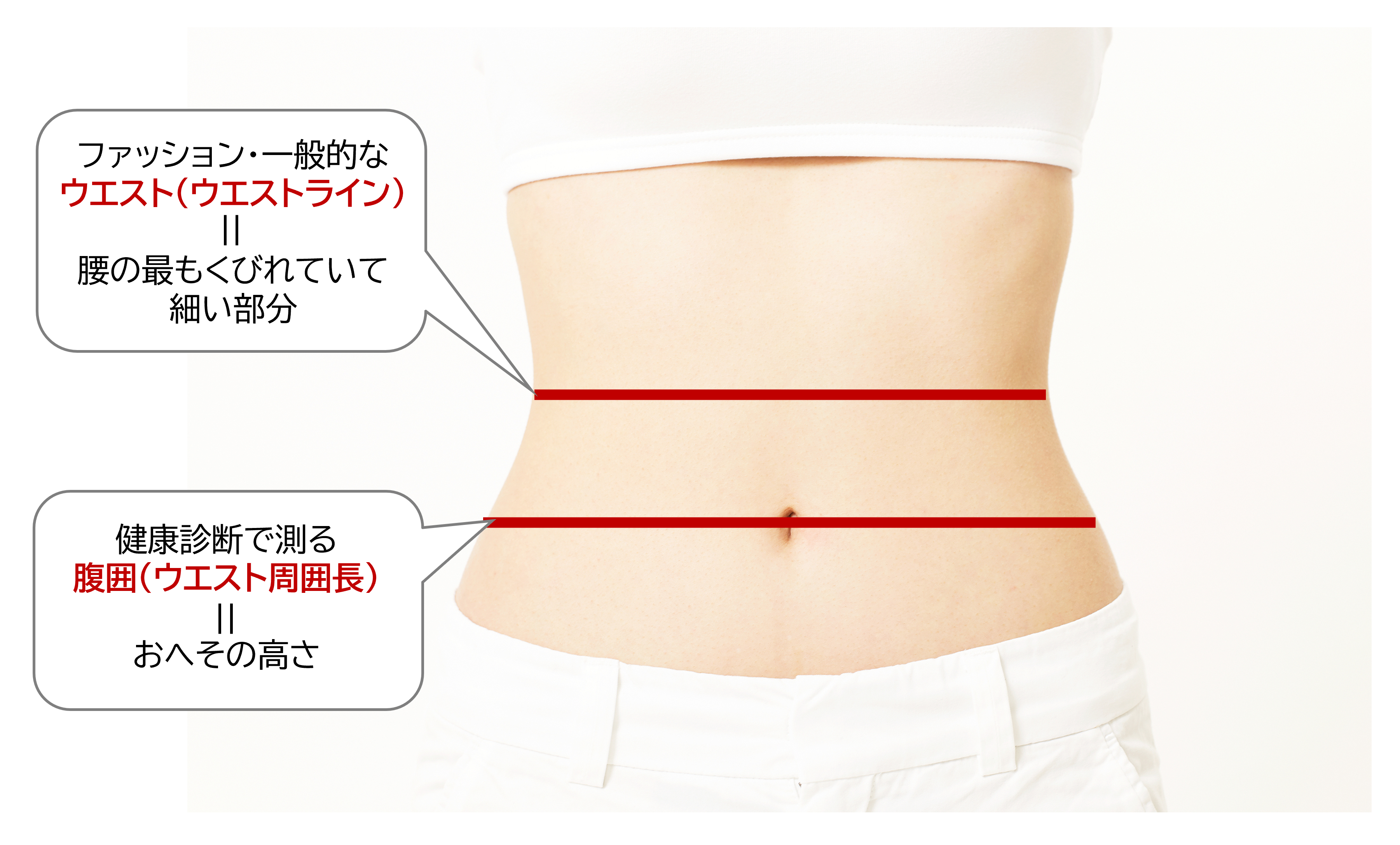実は間違っている？正しいウエストの測り方とおへそ周りの決定的な違い