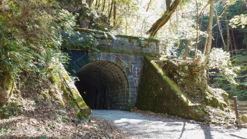 天城峠ライブカメラで路面凍結と積雪を即確認！2026最新の規制と迂回路