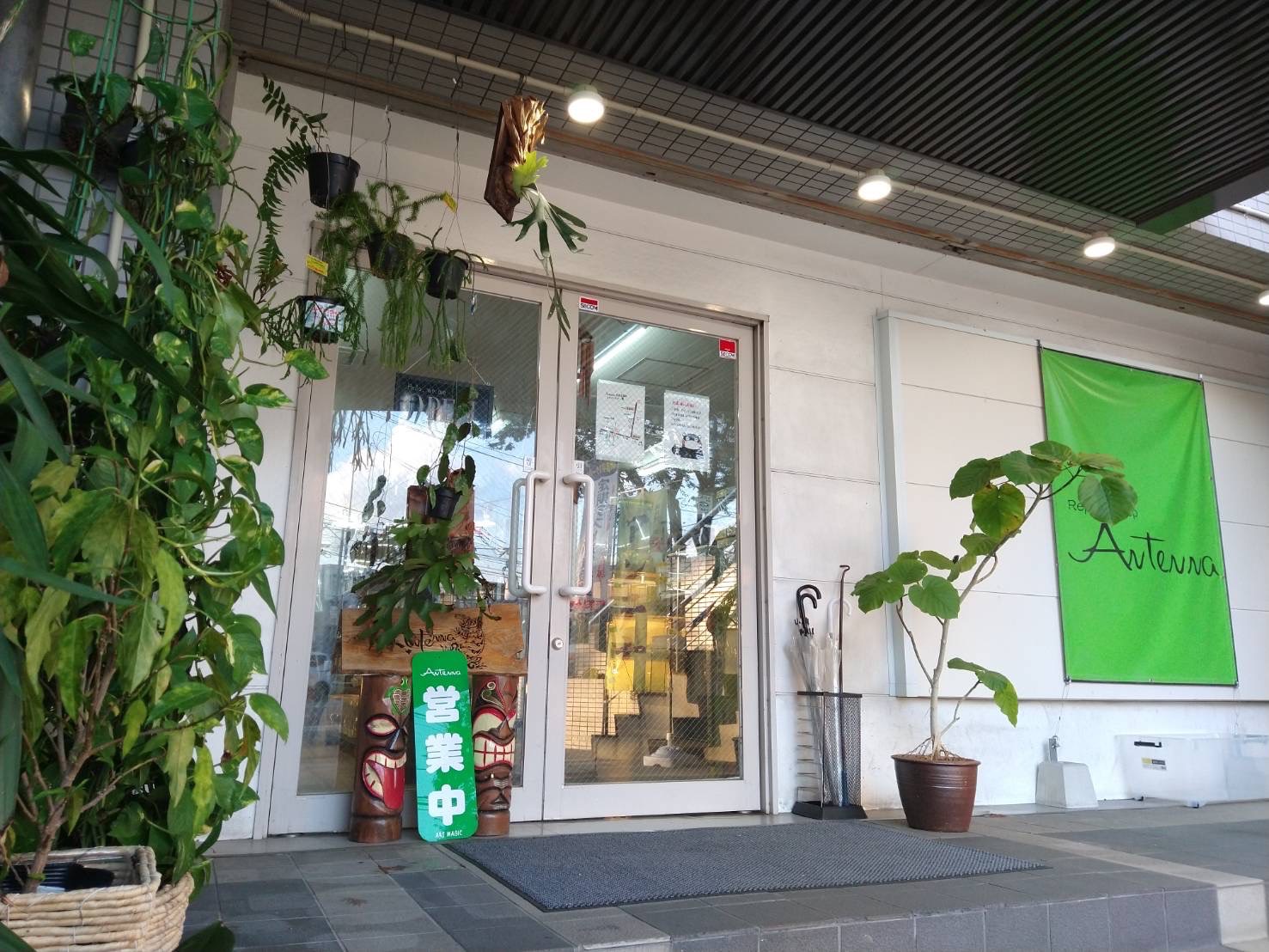 【2026年】福岡爬虫類ショップおすすめ比較！博多・北九州の人気店