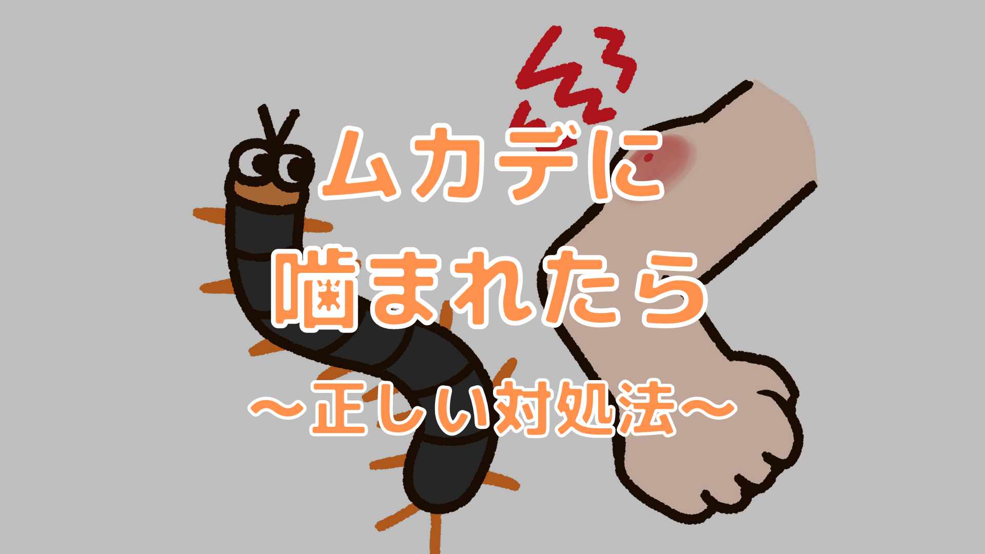 「冷やす」は逆効果？ムカデに噛まれた時の正しい応急処置と対処法