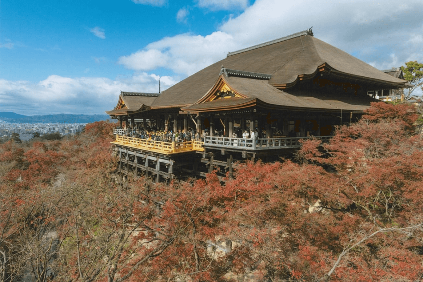 清水寺ライトアップ2026完全攻略！混雑回避と絶景の裏ワザ