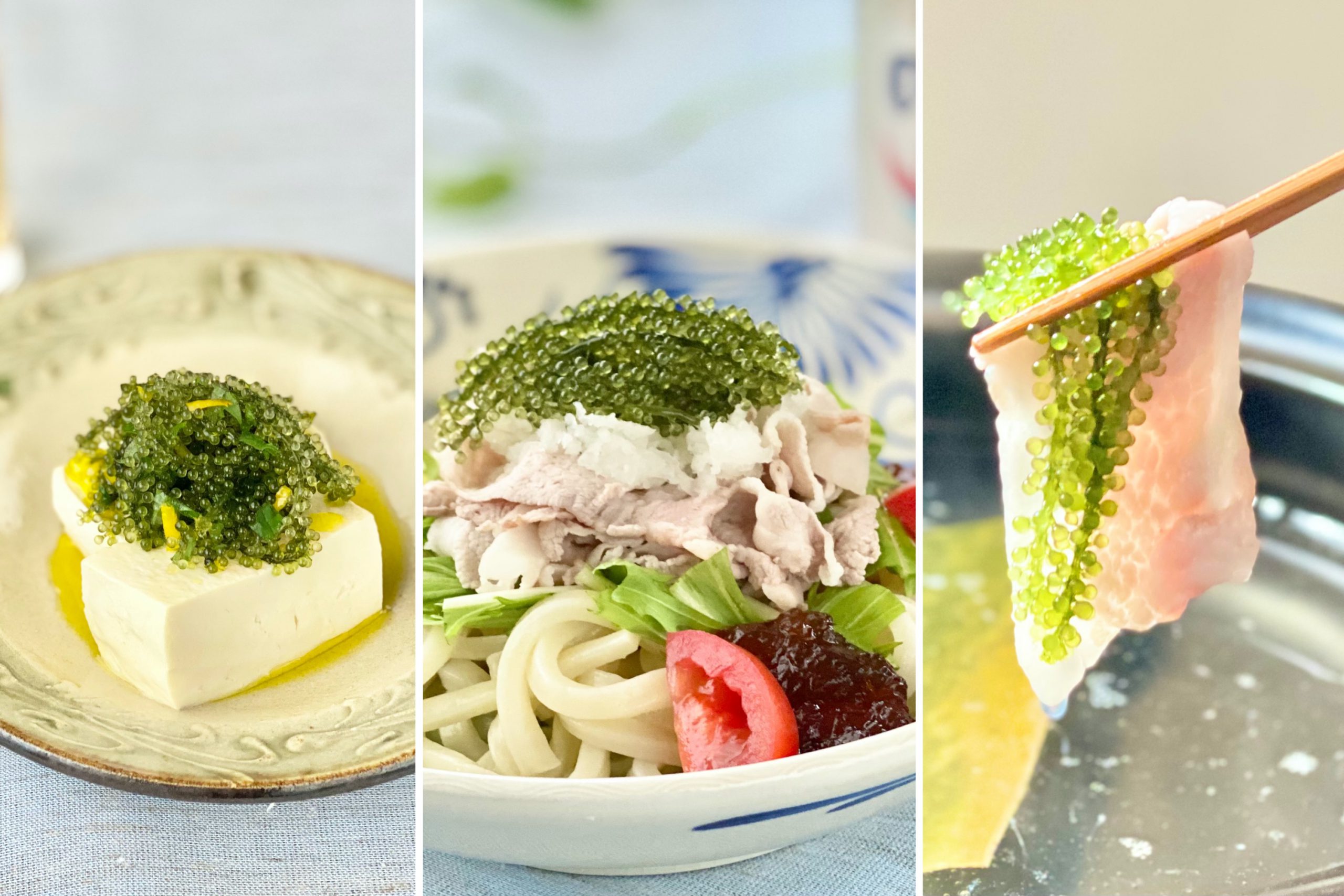 海ぶどうの美味しい食べ方完全ガイド！タレ直がけNgの理由と保存術