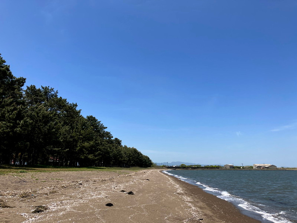 和間海浜公園2026最新攻略｜潮干狩り・キャンプ料金と混雑回避術