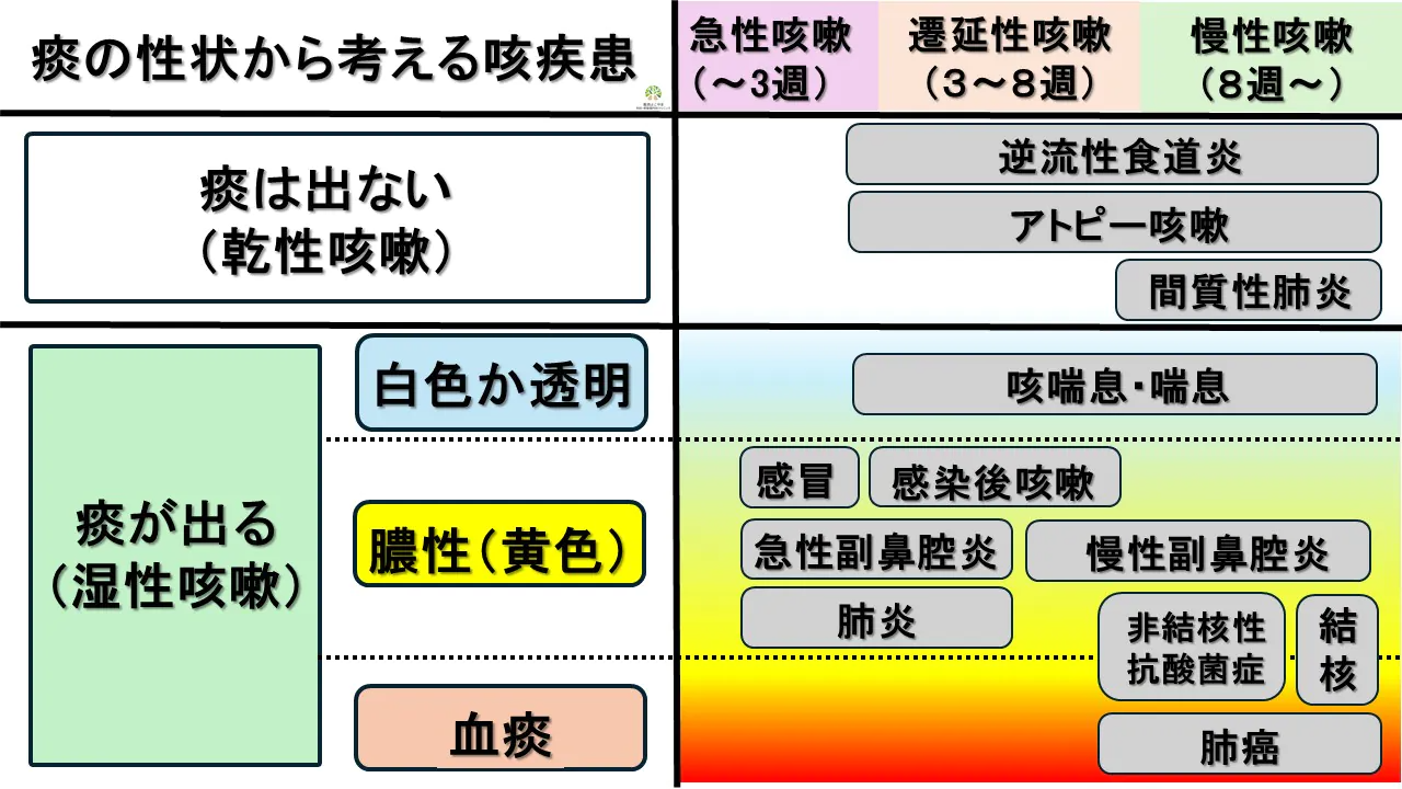 長引く痰がらみの咳は危険？熱なしの原因や黄色い痰の真相と対処法