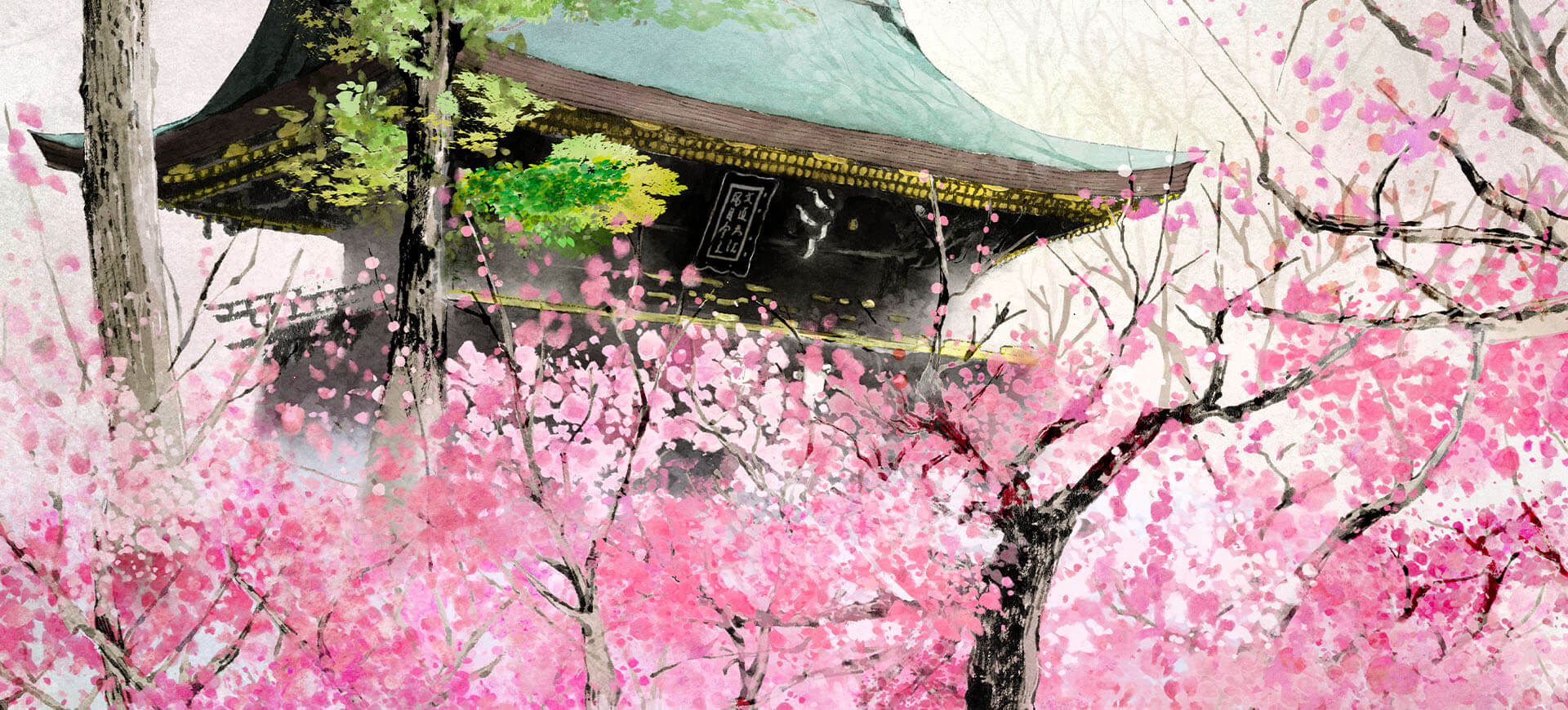 2026年北野天満宮の梅完全攻略｜見頃時期・開花状況から梅花祭・穴場回避術まで