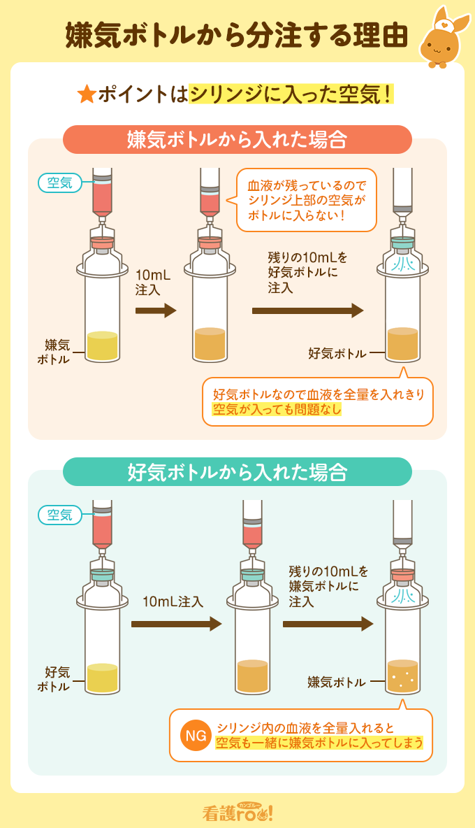 なぜ2セット？血液培養の正しい手順と失敗しない分注順序を徹底解説