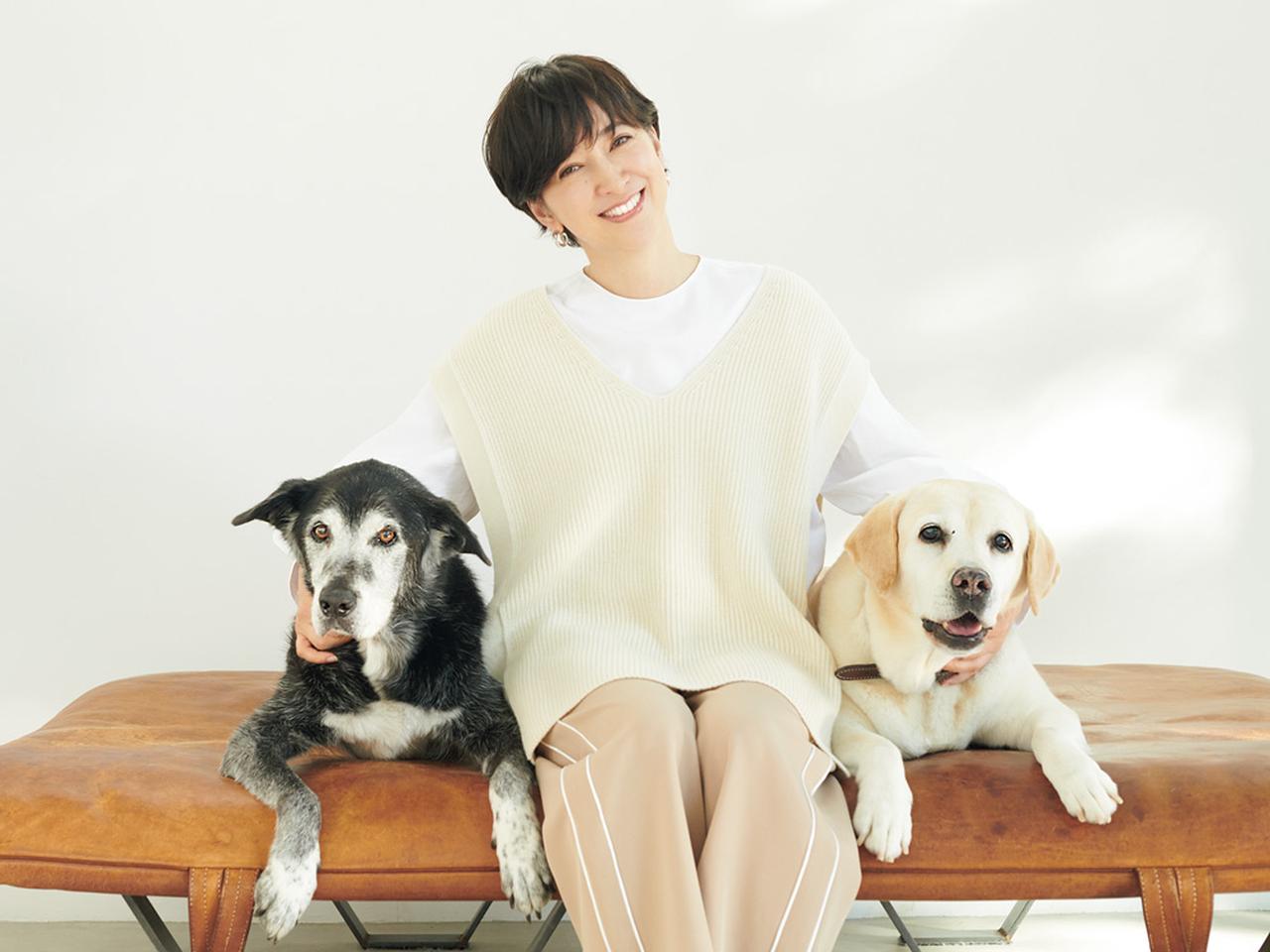 滝川クリステルの愛犬アリスの現在と死因｜保護犬が変えた命の軌跡