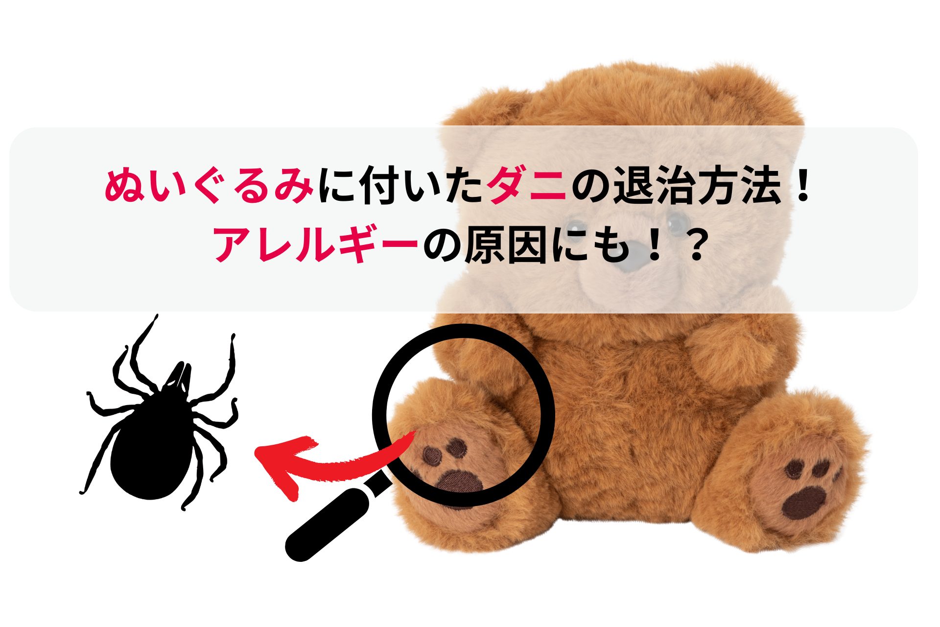 天日干しは逆効果？ぬいぐるみのダニを完全死滅させる最新駆除法
