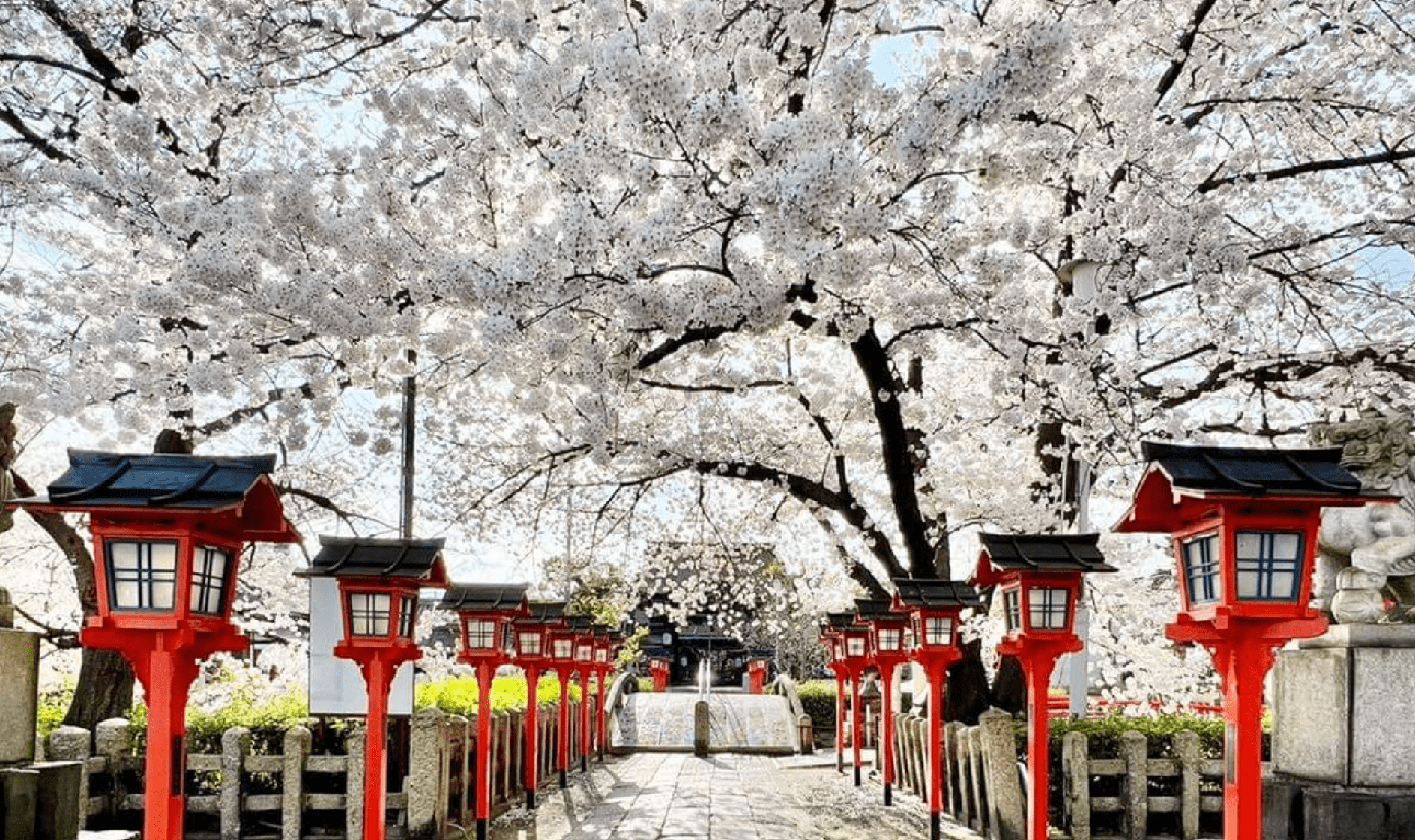 京都・六孫王神社の真相！源氏発祥の歴史と驚きのご利益を徹底解明【2026】