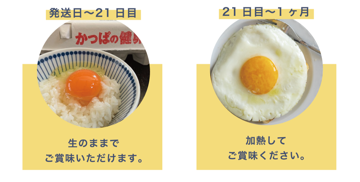 卵の賞味期限切れは1ヶ月後も平気？生食の限界とプロが教える安全基準