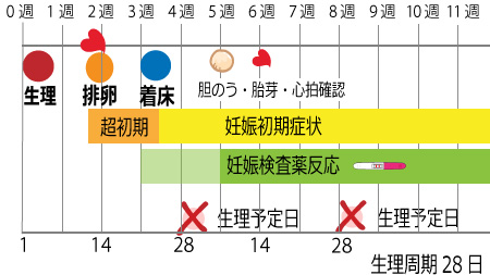 【プロフィール】 妊娠 初期 症状 ない 気になる噂と真相 #913