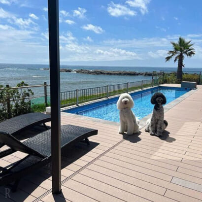 【必見】 犬 と 泊まれる 宿 関東 私服＆私生活最新ショット #983