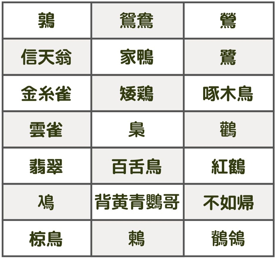 鳥の漢字一覧完全網羅！鴎・梟・鵺の由来と難読鳥名の決定版