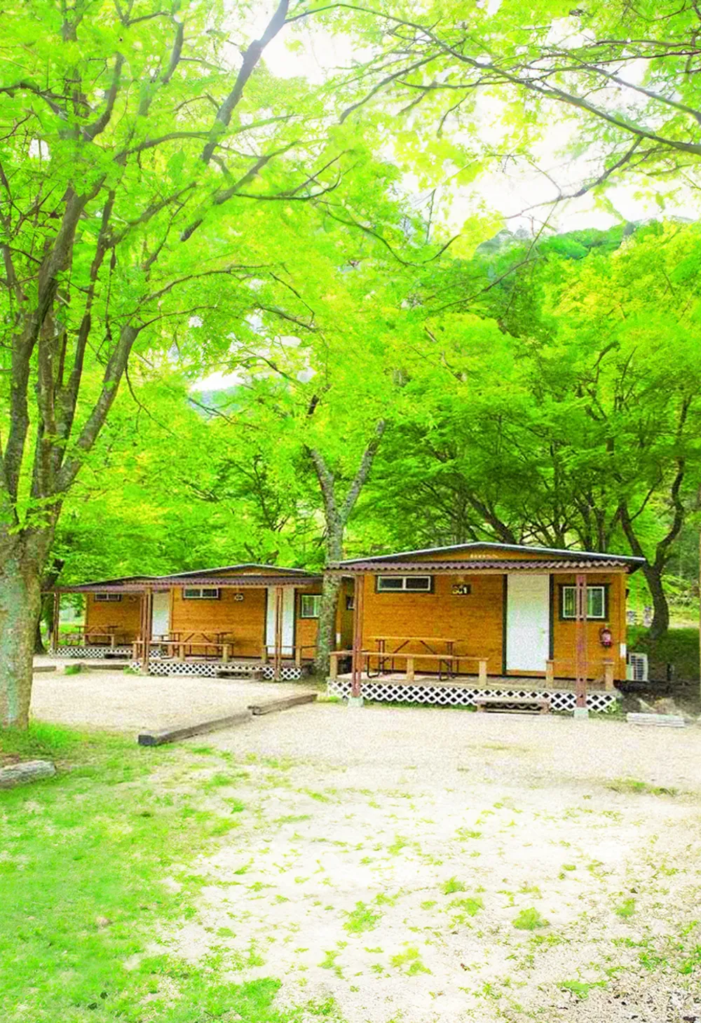 かもしかオートキャンプ場徹底解剖！予約激戦の真相と温泉のリアル