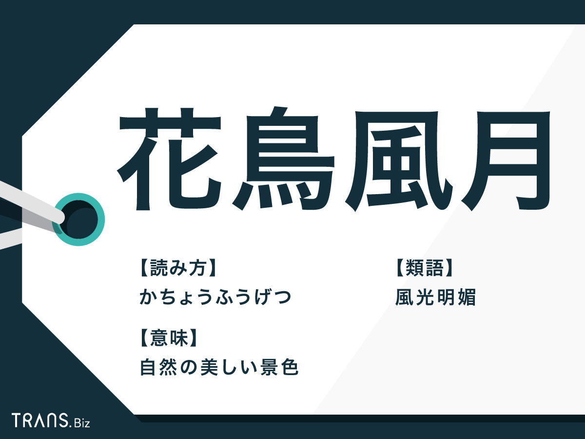 花鳥風月の意味と由来とは？年齢で心が変わる心理の法則と類語を徹底解説