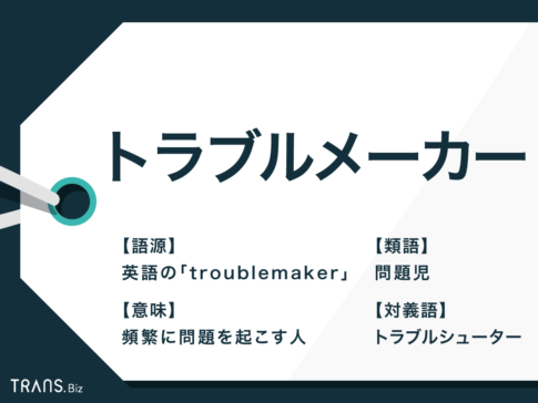 【衝撃】 トラブル メーカー と は 経歴＆学歴まとめ 2026 #916