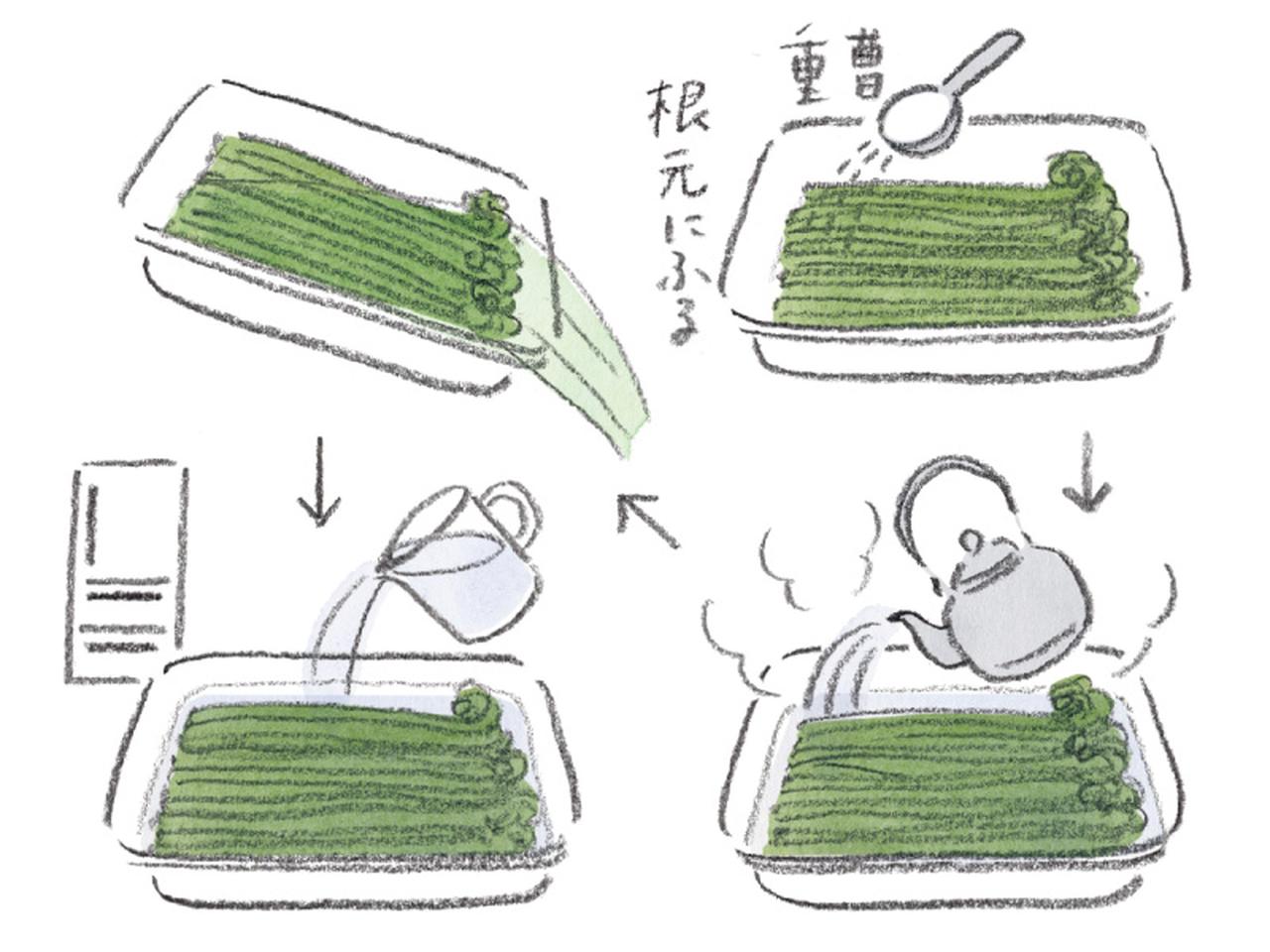 わらびのアク抜き完全攻略！失敗する原因と重曹なしの裏ワザ徹底解説