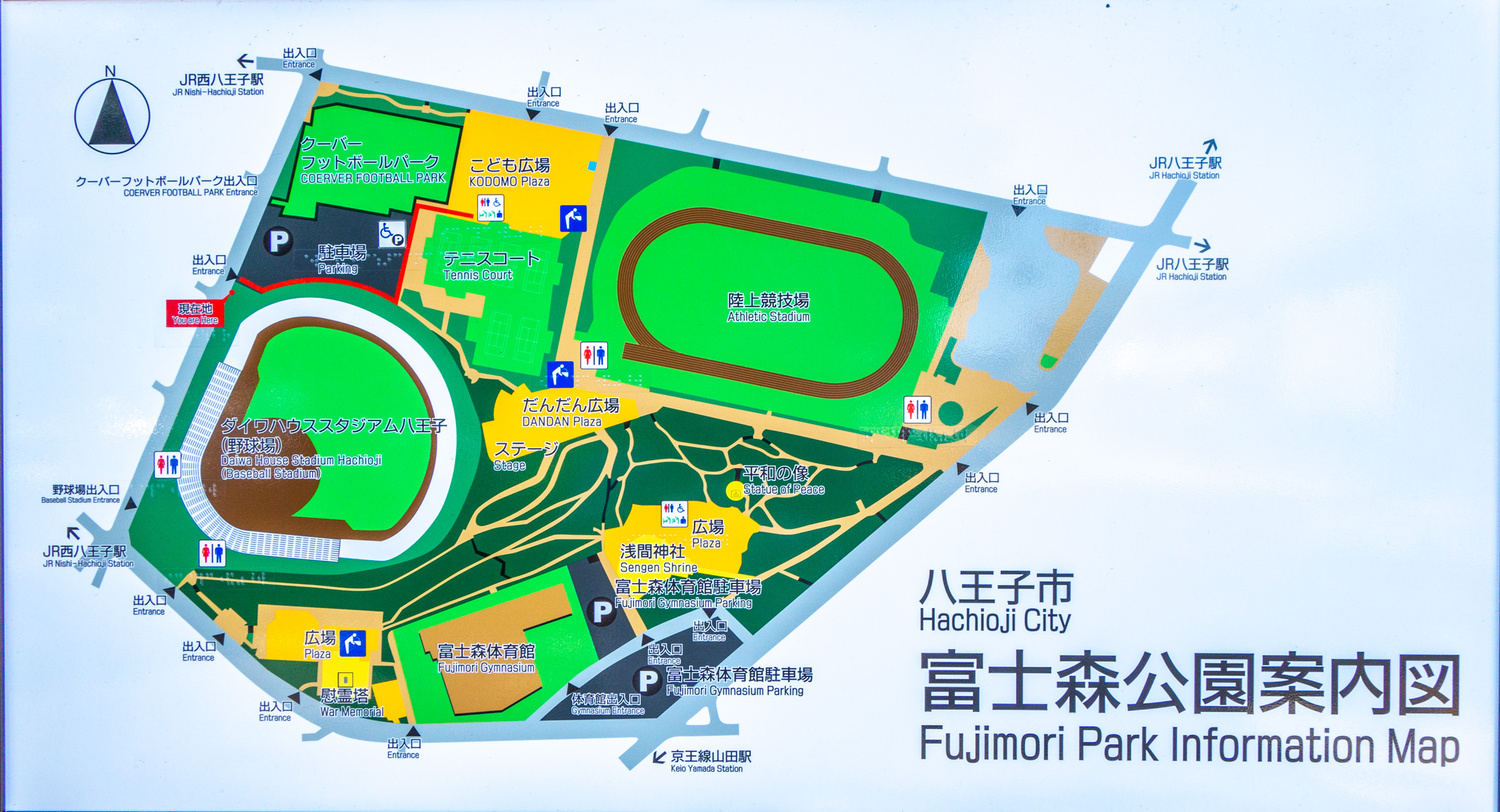富士森公園の最新攻略2026｜花見・花火・駐車場混雑と穴場
