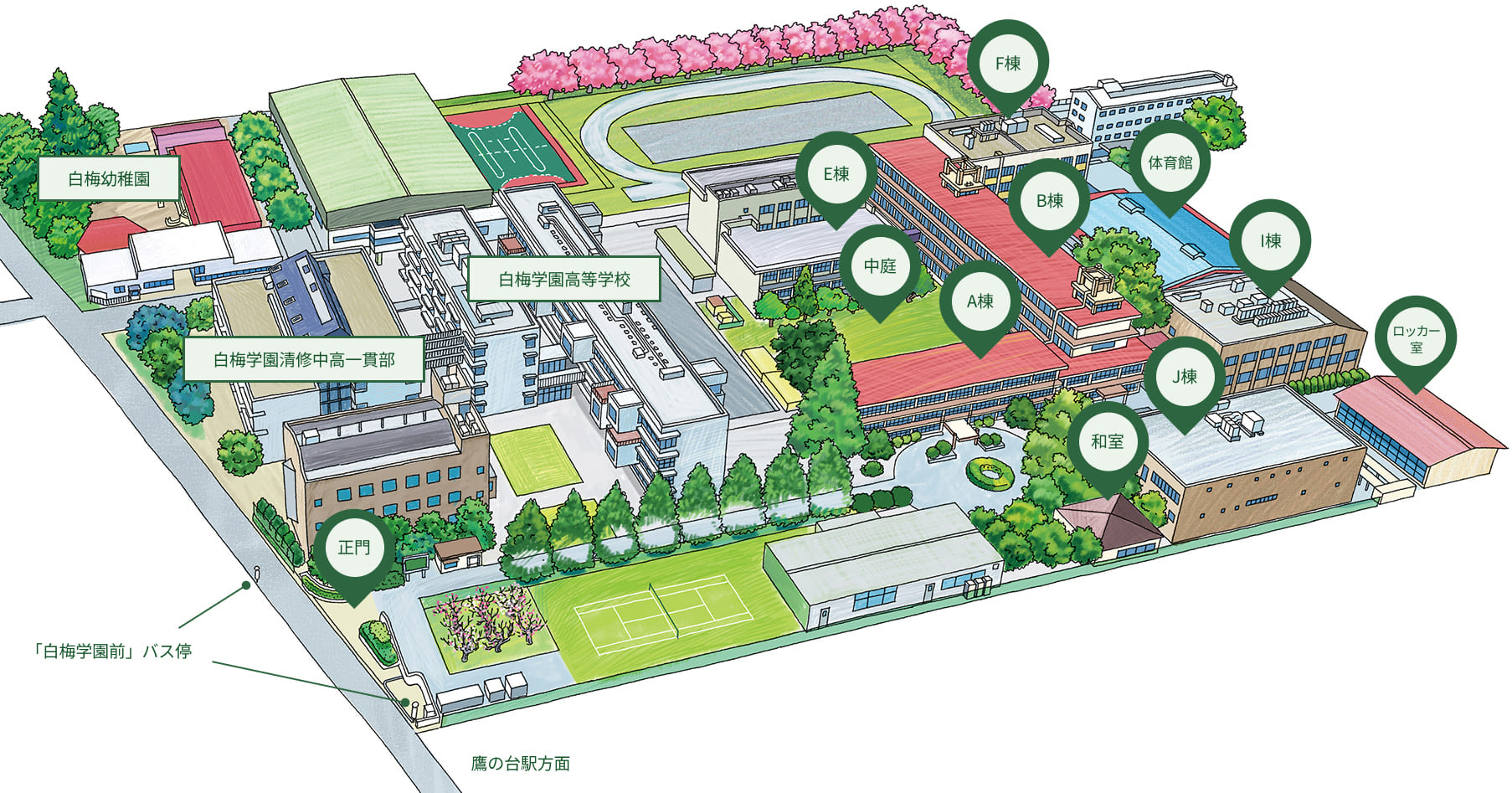 白梅学園大学の偏差値と評判は？共学化の真相や就職実績を徹底検証