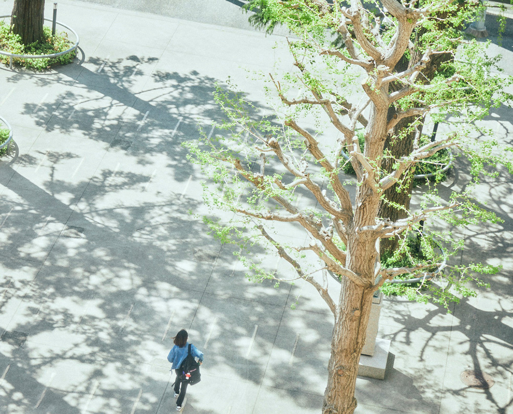 明治学院大学戸塚グラウンド完全解説！行き方と駐車場の注意点2026