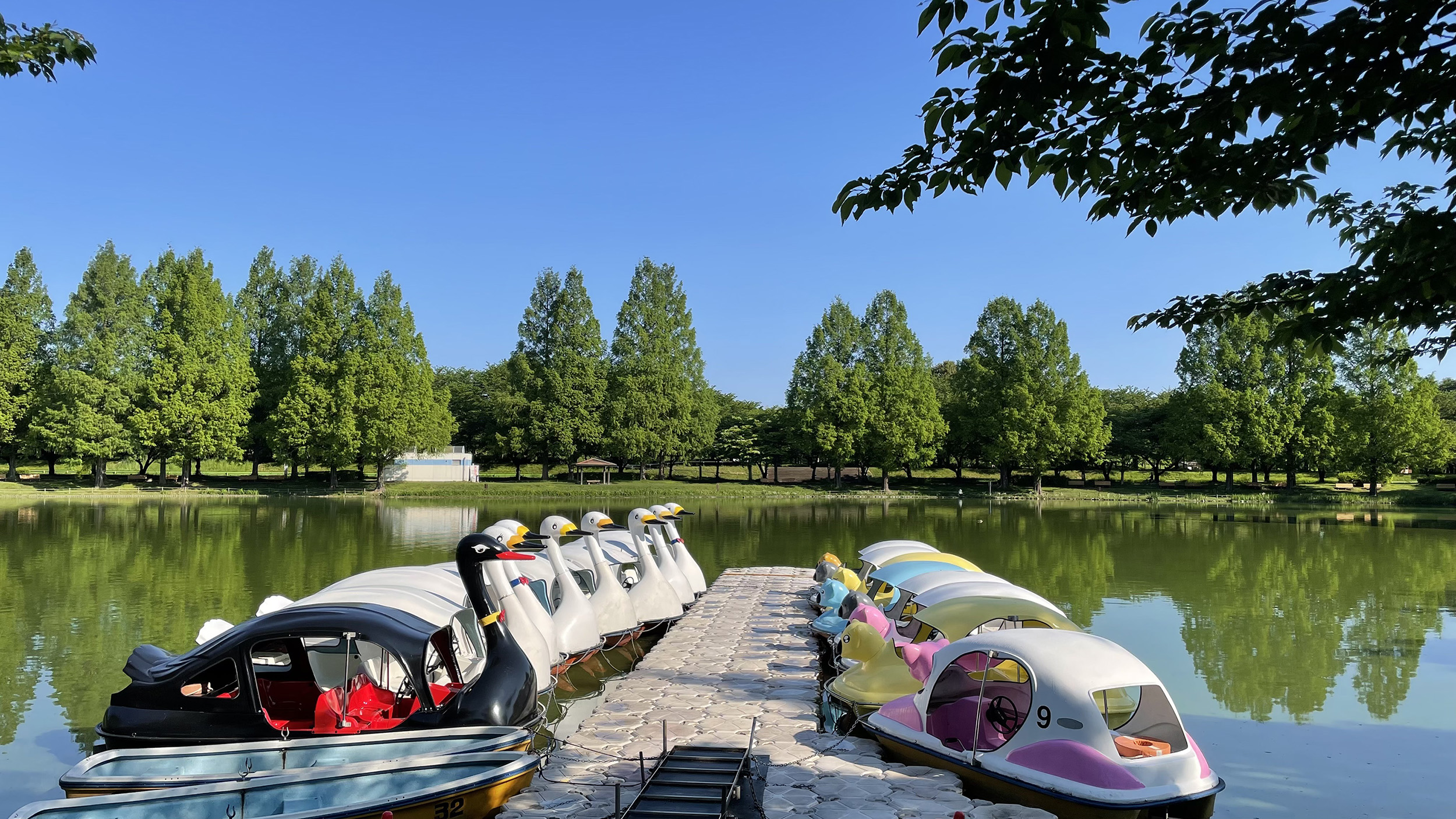 川越水上公園2026徹底攻略！プール予約や混雑回避と最新料金の全貌