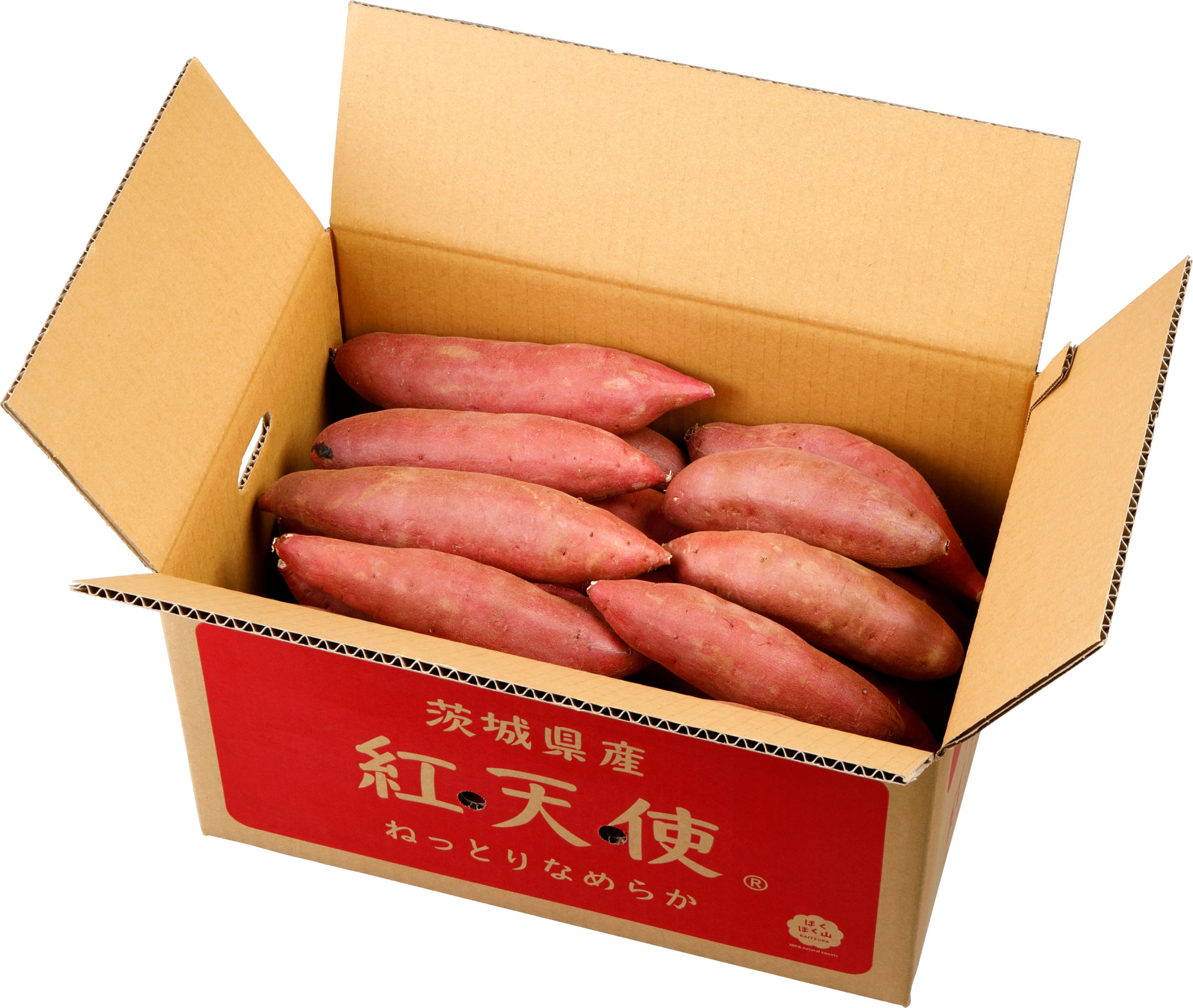 さつまいも保存の新常識！冷蔵庫Ngの理由と数ヶ月持たせる秘訣