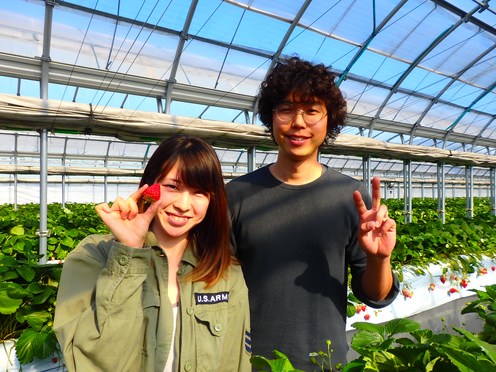 木更津マンモスいちご園の評判と料金は？予約攻略と品種食べ比べを徹底解剖