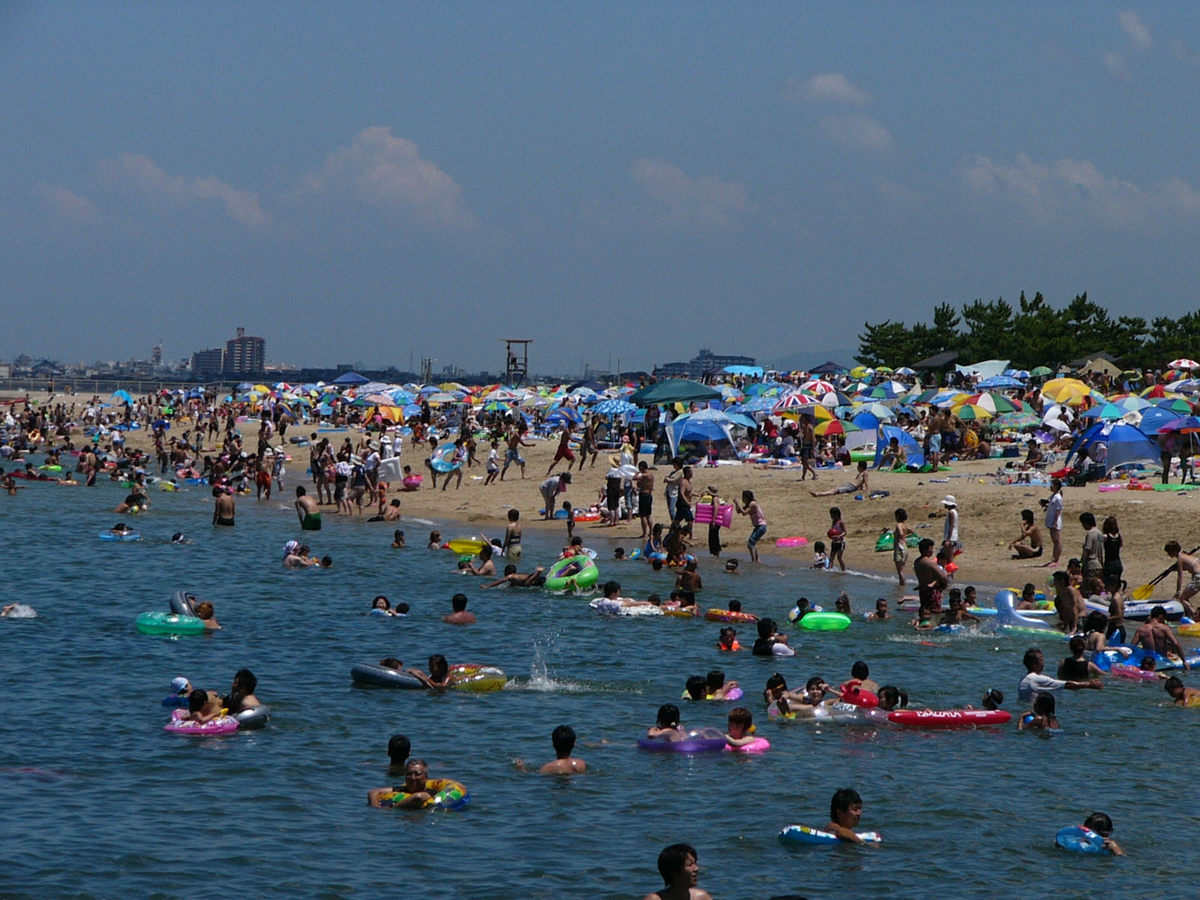 箱作海水浴場ぴちぴちビーチ2026攻略！Bbq・駐車場・水質の実態