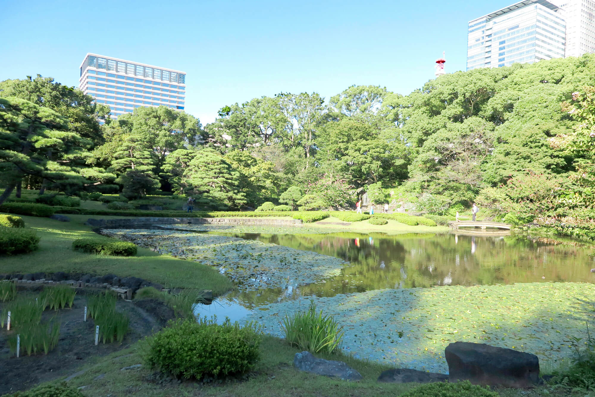 皇居東御苑の入場料や予約は？休園日の罠と見どころを徹底解説【2026】