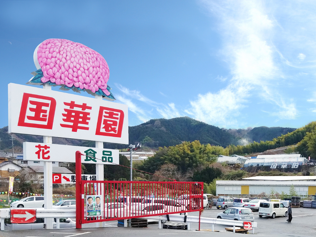 国華園 和泉本店はなぜ激安？混雑回避やチラシ・評判の真相【2026最新】
