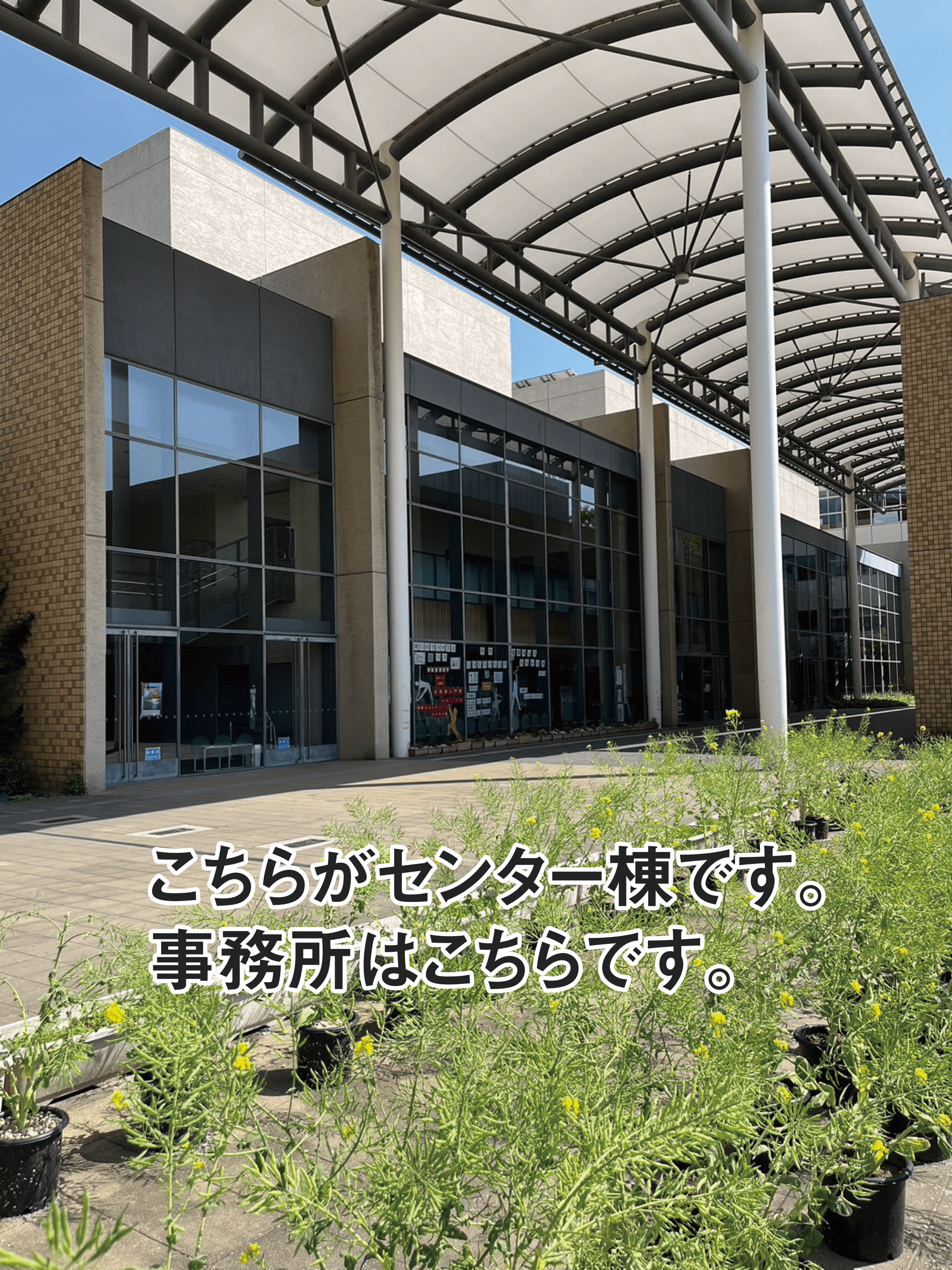 住吉区民センター徹底活用ガイド！予約や料金とアクセスの真相