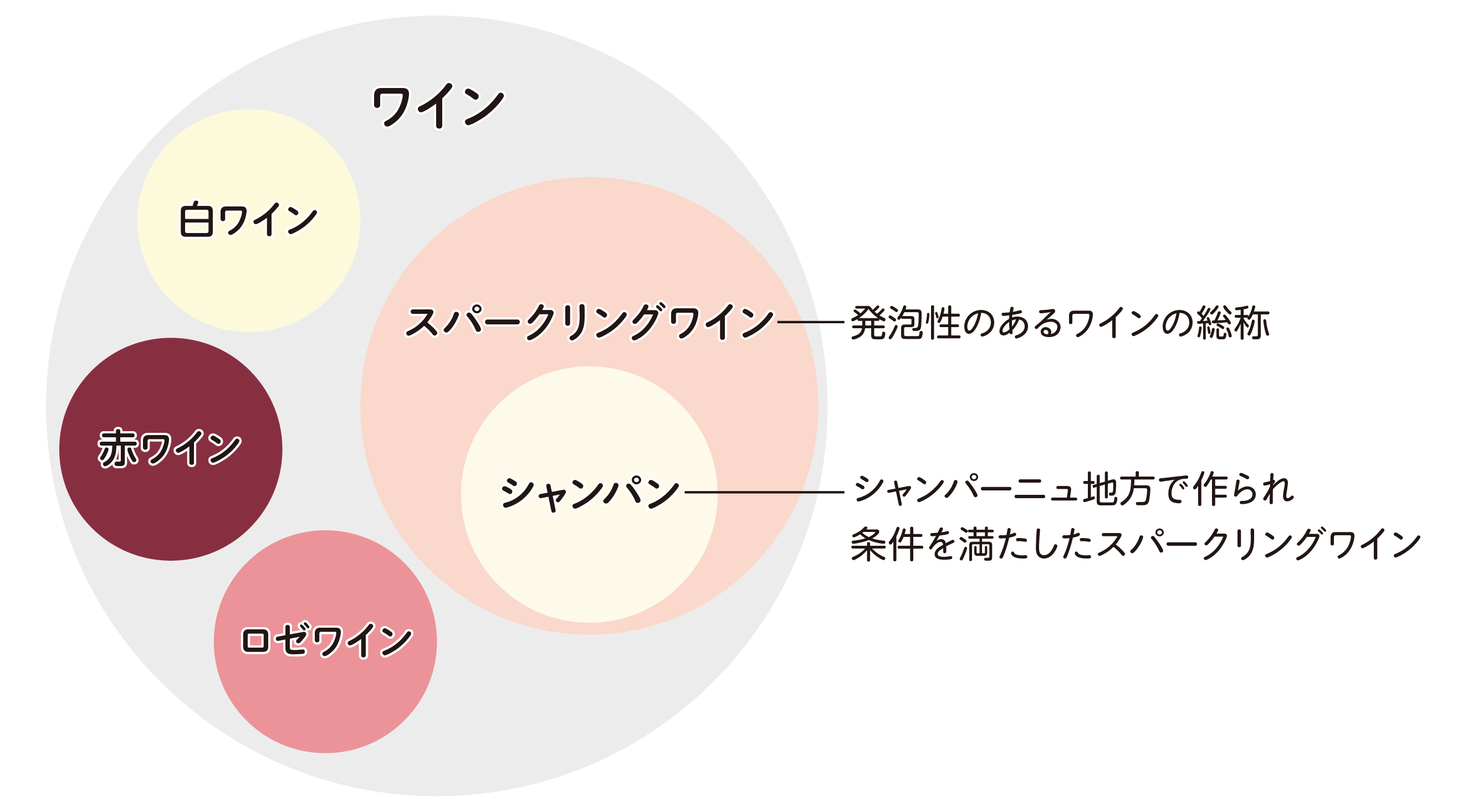 シャンパンとスパークリングワインの違いは？価格差の真相と失敗しない選び方