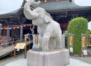 【画像あり】 吉 ゾウ くん の お寺 長 福寿 寺 最新ライブ＆イベント情報 #825