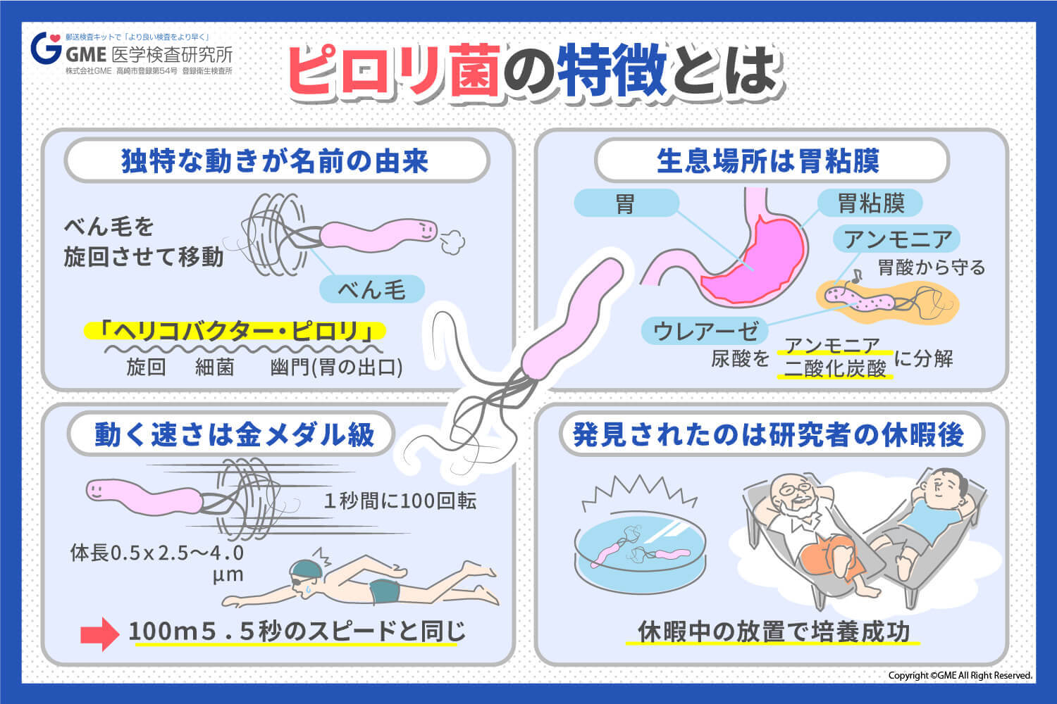 井戸水でピロリ菌に感染する？噂の真相と2026年最新の予防除菌対策